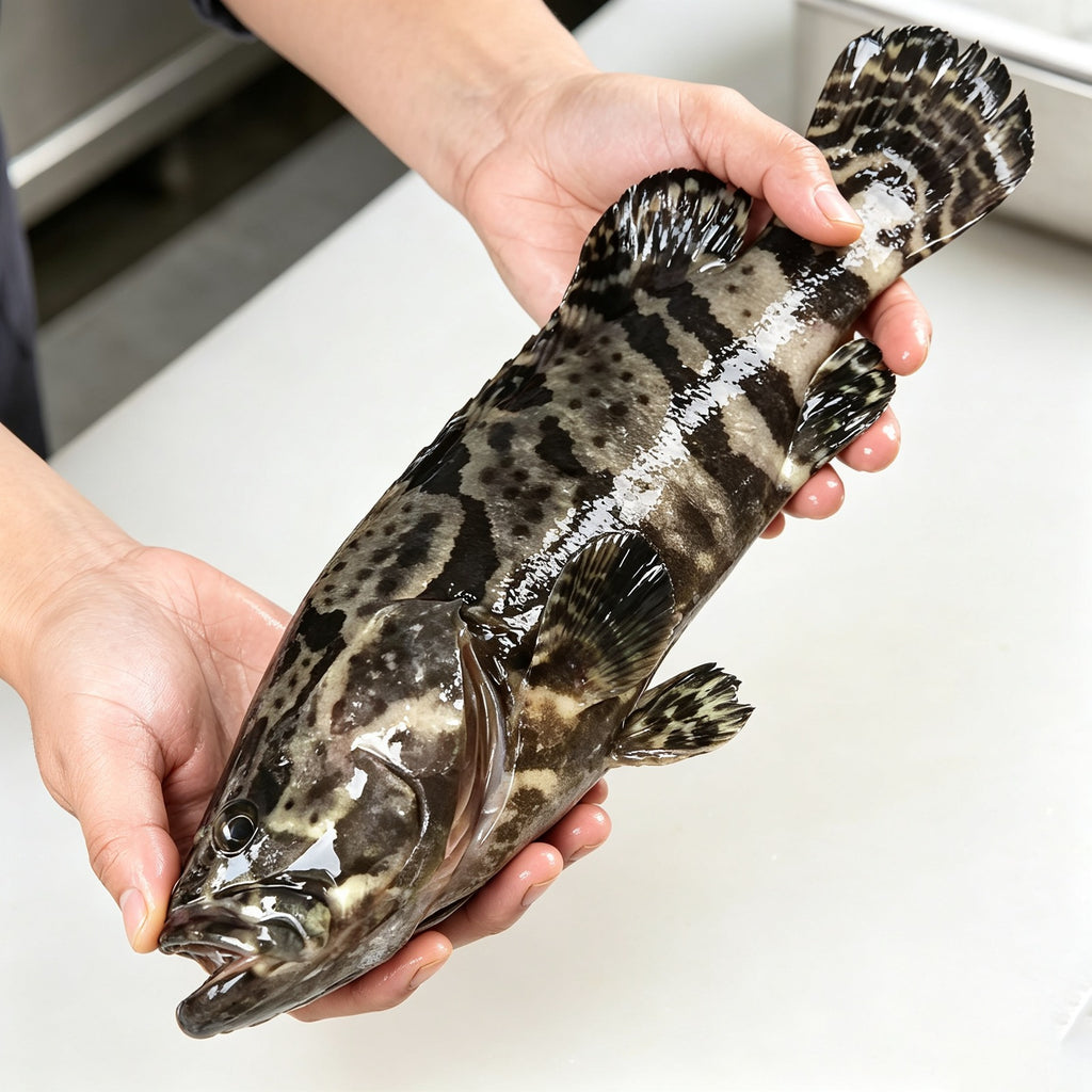 Close view of grouper skin pattern beside bright white flesh on ice