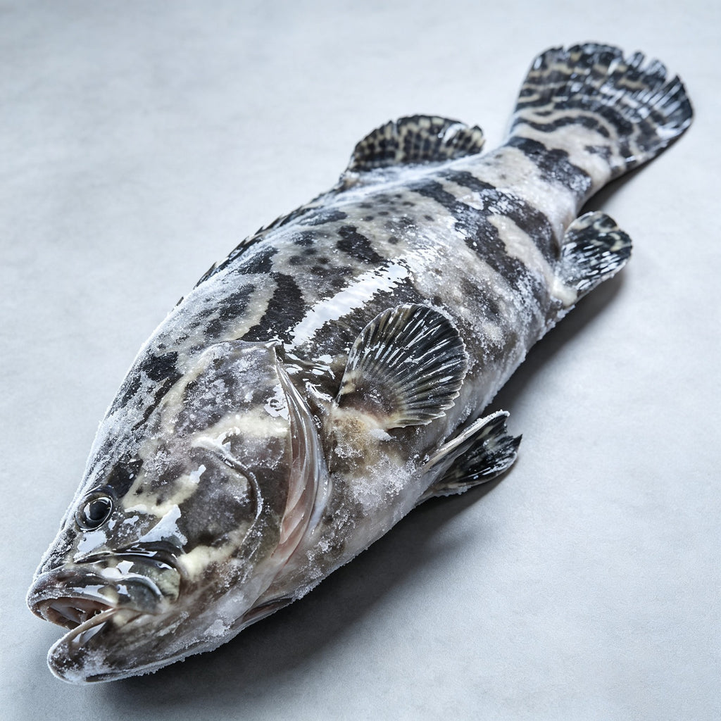 Grouper cut into sections and arranged on a serving plate